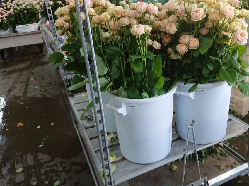 Opslagtonnen geschikt voor uiteenlopende toepassingen